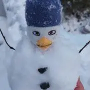 蒼の画像