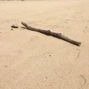 田舎者