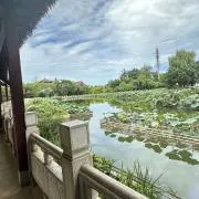 LDNSTUDIOの画像