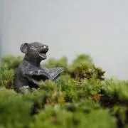 シオタ·アミュの画像