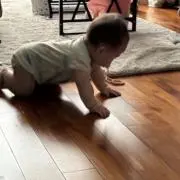 かのの画像