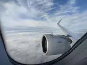 はとさん