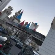 たこの画像