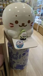さくらの画像