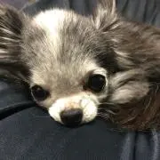 REIの画像