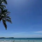 一時休止中の画像