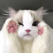 ♡の画像
