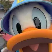 断捨離中の画像