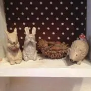 Rの画像