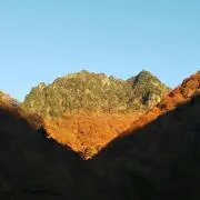 山介の画像