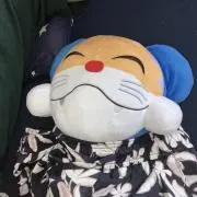 アルテグラ⭐︎