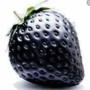 BlackBerry♥️プロフ読んでネ❗の画像
