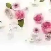 hana＊の画像