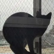 Atsの画像
