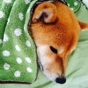 ちはる☆の画像