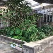 WAKISAKAMAOの画像