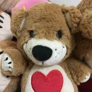 伽羅3の画像
