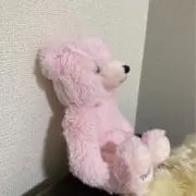 yの画像