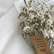 sの画像