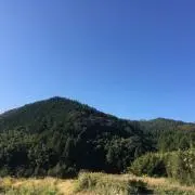 陽大農園の画像