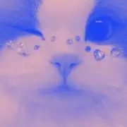 かかかの画像