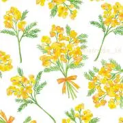 のあの画像
