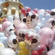 Mの画像