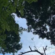 kysの画像