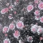 さくさく/プロフィールご確認下さい！の画像