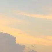 ねいろの画像