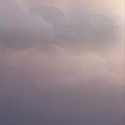 桜の画像