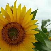 M☆Kの画像