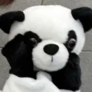 ありゆんの画像