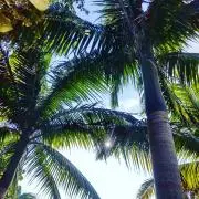 夏空
