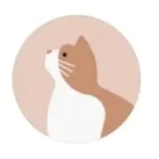 きゃんでぃ/秋のセール中❗️の画像