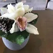 モエリの画像