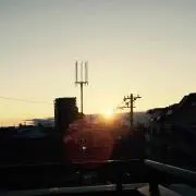 麻 即購入可