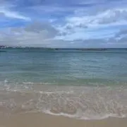 ★むぎ★値下げは希望価格をお願いしますの画像