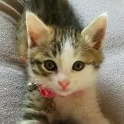 ひろ♡