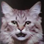 ぐれにゃん