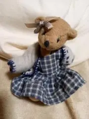 テディの画像