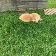 Silly0301の画像
