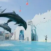 はあやの画像
