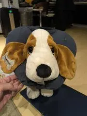ラムネの画像