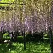 M セール中の画像