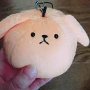 ぽめ