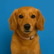 るの画像