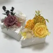 じゅんこの画像