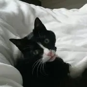 しおんまる