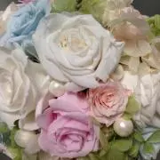 ふぁるこんの画像